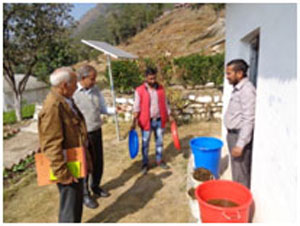 Bio-formulations and organic vegetables