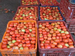 organic vegetables