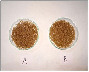 Barley Noodles