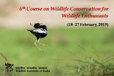 VI Course on Wildlife Conservation for Wildlife Enthusiasts (18–27 February, 2019)