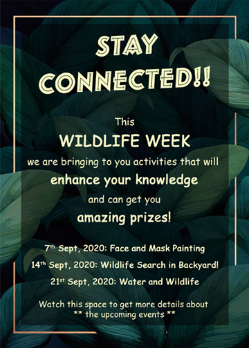 Wildlife Week 2020