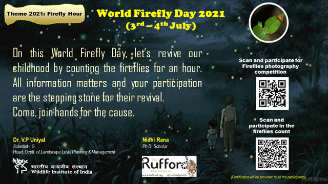 World Firefly Day 2021 (3rd – 4th July 2021)