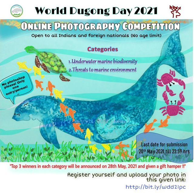  Photography competition 