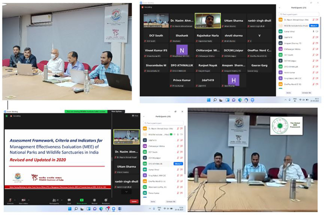 One-Week Online Training Workshop on Management Effectiveness Evaluation (MEE) of Protected Areas and World Natural Heritage Sites for Indian Forest Service (IFS) Officers, from 25th to 29th October 2021, organized by Wildlife Institute of India, Dehradun
