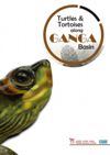 TURTLES AND TORTOISES ALONG GANGA BASIN TURTLES AND TORTOISES ALONG GANGA BASIN