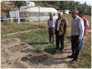 Field visits by the experts