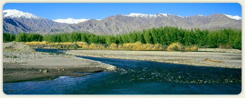 Landscape Level Planning and Management