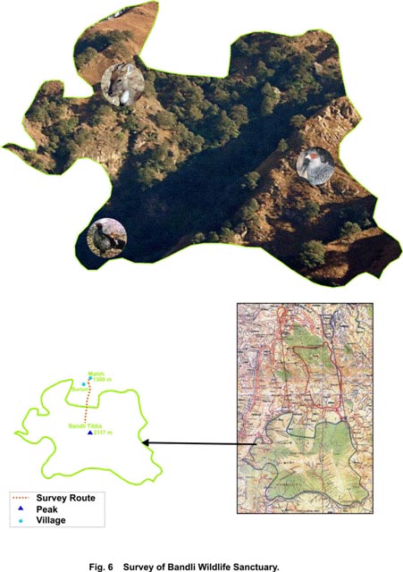 Assessment of ecological profile of Bandli Wildlife Sanctuary and Tarambri Demarcated Protected Forest