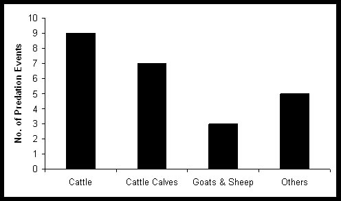 Results and Inferences