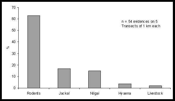 Results and Inferences