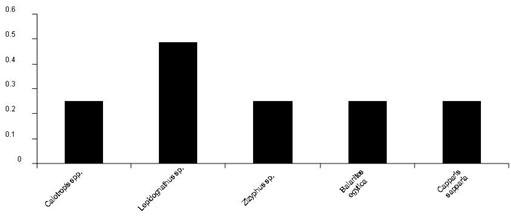 Results and Inferences