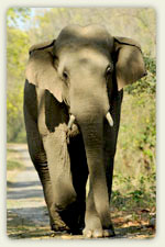 Protected Area Network, Wildlife Management and Conservation Education