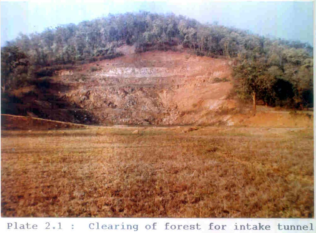 Project Description