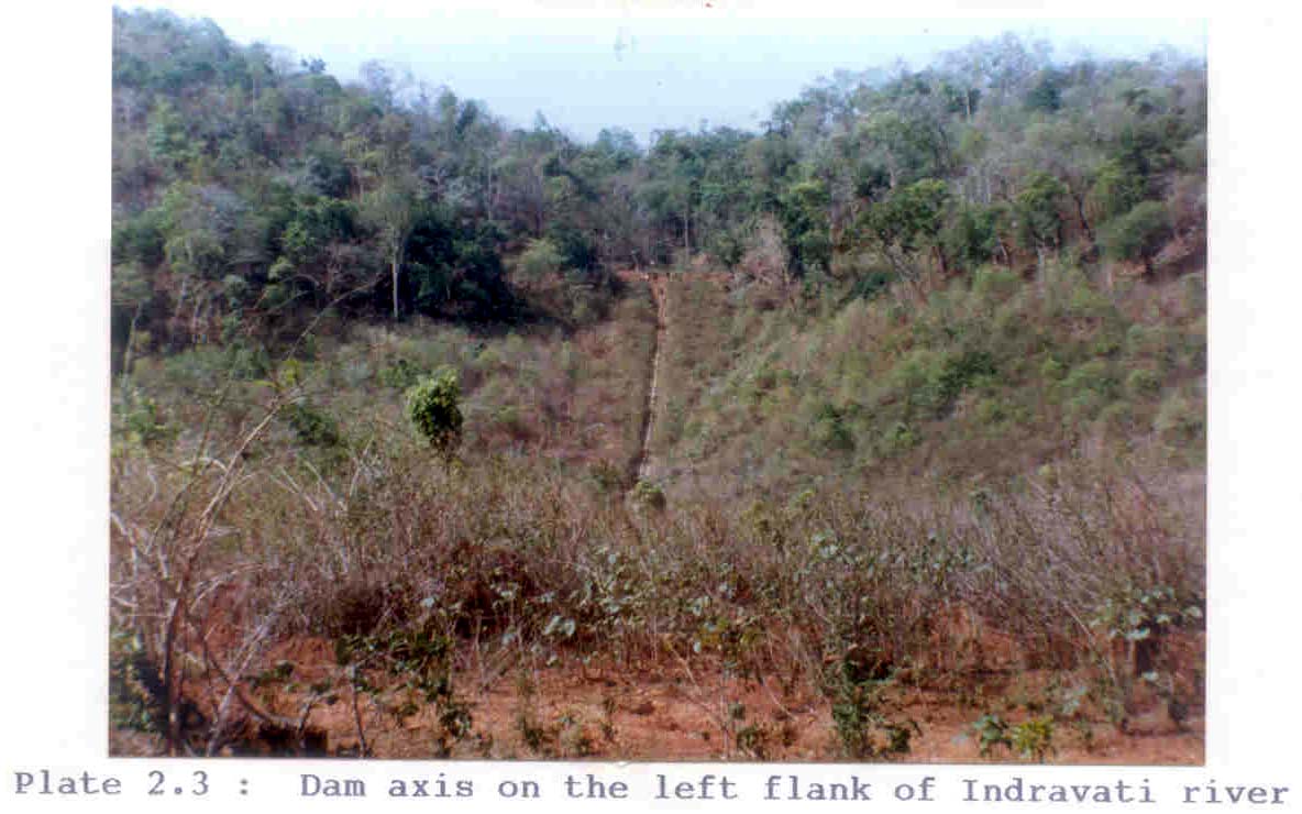Project Description