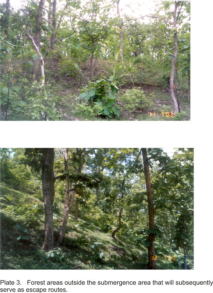 Basic Premise for Preparing Forest Clearance Plan