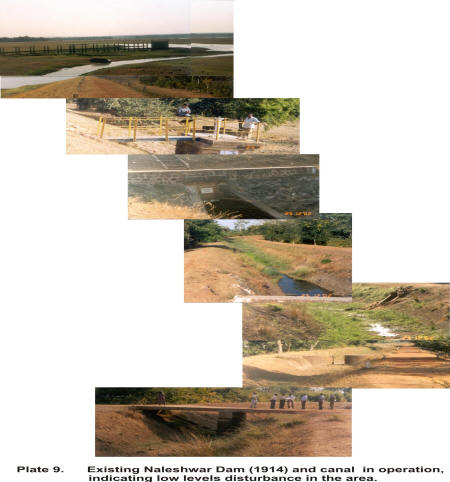 Impact on habitat availability and animal use Impact on habitat availability and animal use