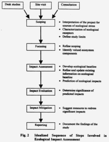 Methodology Methodology