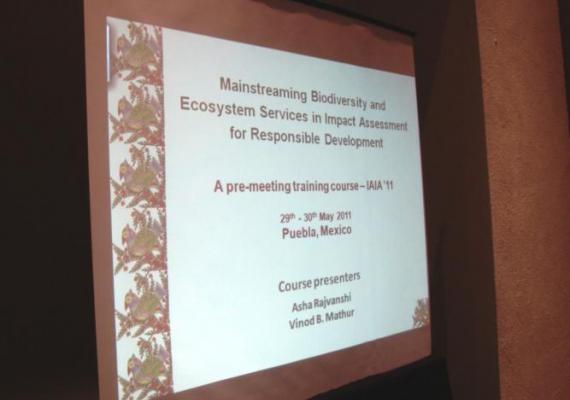 Mainstreaming biodiversity and Ecosystem Services in Impact Assessment for Responsible Development IAIA - A pre-meeting training course (29th- 30th May 2011, Puebla, Mexico)