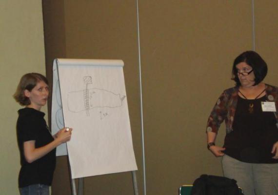 Mainstreaming biodiversity and Ecosystem Services in Impact Assessment for Responsible Development IAIA - A pre-meeting training course (29th- 30th May 2011, Puebla, Mexico)