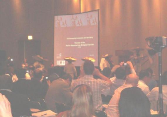 Mainstreaming biodiversity and Ecosystem Services in Impact Assessment for Responsible Development IAIA - A pre-meeting training course (29th- 30th May 2011, Puebla, Mexico)