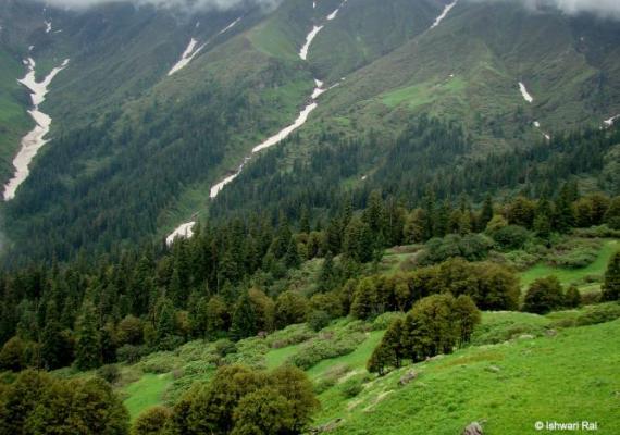 Great Himalayan National Park Landscape Photo Credits : Dr. Ishwari Rai