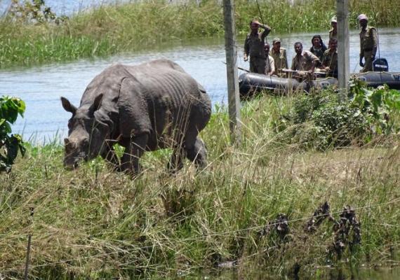 Kaziranga Photo Credits : Pallabi Chakraborty