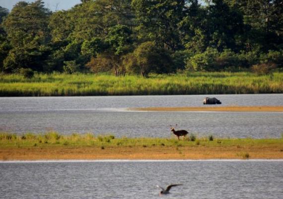 Kaziranga Photo Credits : Pallabi Chakraborty