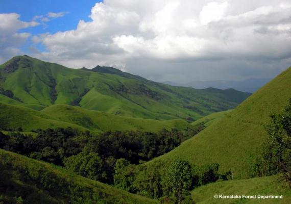 Kudremukh Valley  Photo Credits : Karnataka Forest Department