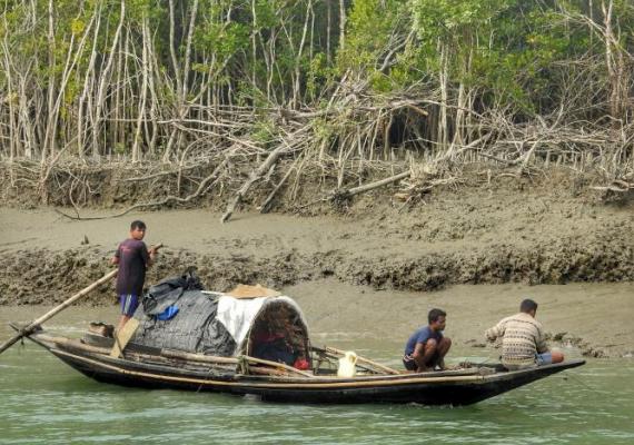 Sundarbans Photo Credits : Pallabi Chakraborty