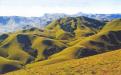 Grass Hills National Park Wester  Ghats : Photo Credits : Mr. S Thangaraj Panneerselvam