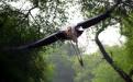 Keoladeo : Photo Credits : Dr. Bhumesh Singh