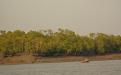 Sundarbans Photo Credits : Mr. Rahul Talegaonkar