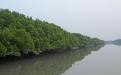 Sundarbans Photo Credits :  Mr.  Rahul Talegaonkar