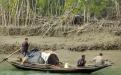 Sundarbans Photo Credits : Pallabi Chakraborty