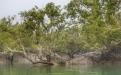 Sundarbans Photo Credits : Pallabi Chakraborty