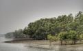 Sundarbans Photo Credits : Pallabi Chakraborty